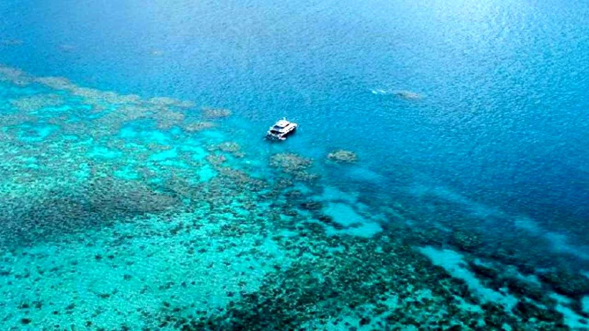 Avustralya\'nın Büyük Set Resifi\'nde İncelenen Resiflerin Yüzde 90\'dan Fazlasında, Yazın Mercan Beyazlaması Görüldü