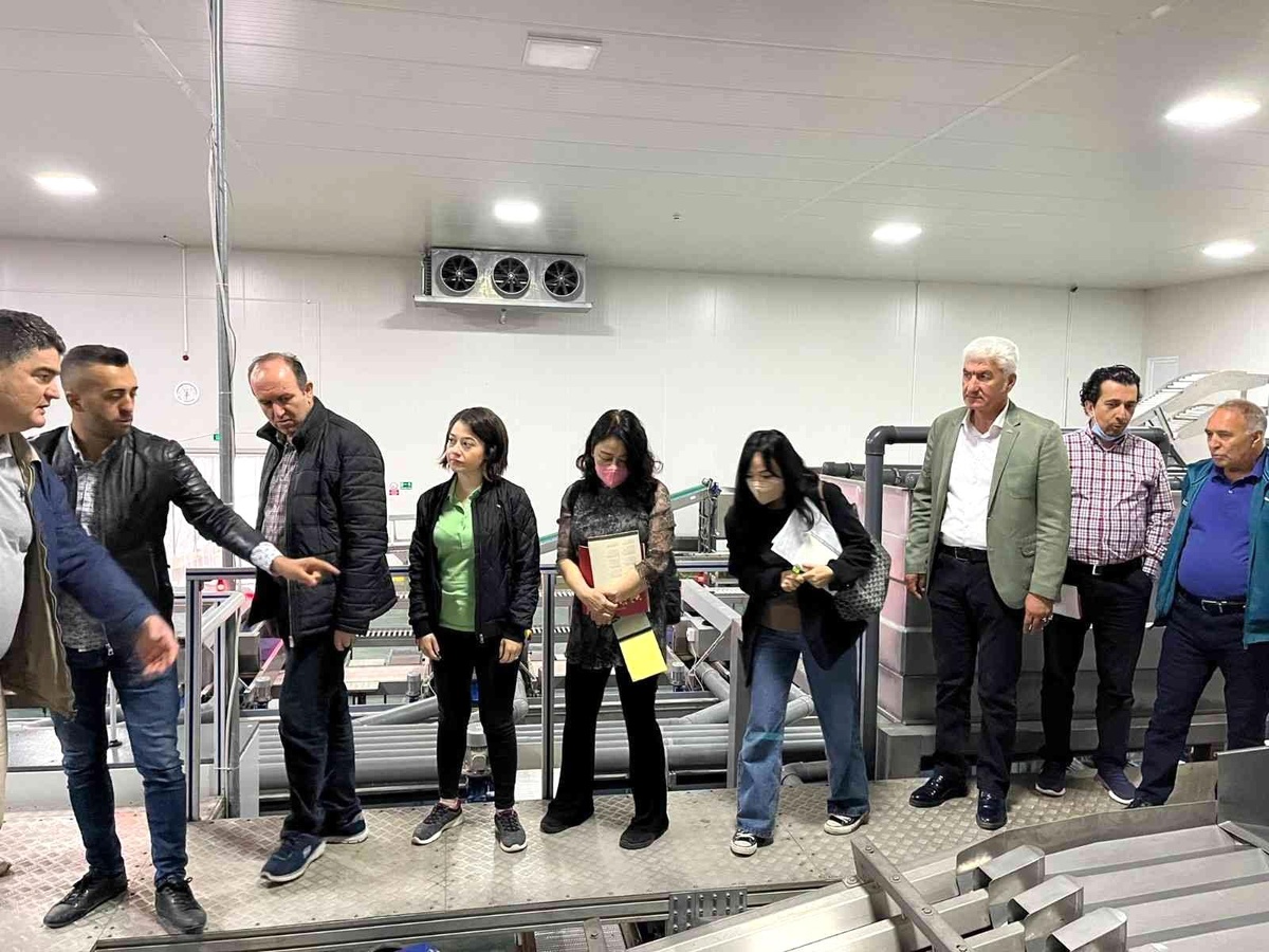 BAİB\'den Güney Kore\'ye kiraz ihracatı çalışmaları