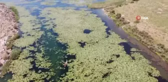 Son dakika haber! Hatay'ın nazar boncuğu olarak bilinen Gölbaşı gölü turizme kazandırma çalışmaları sürüyor