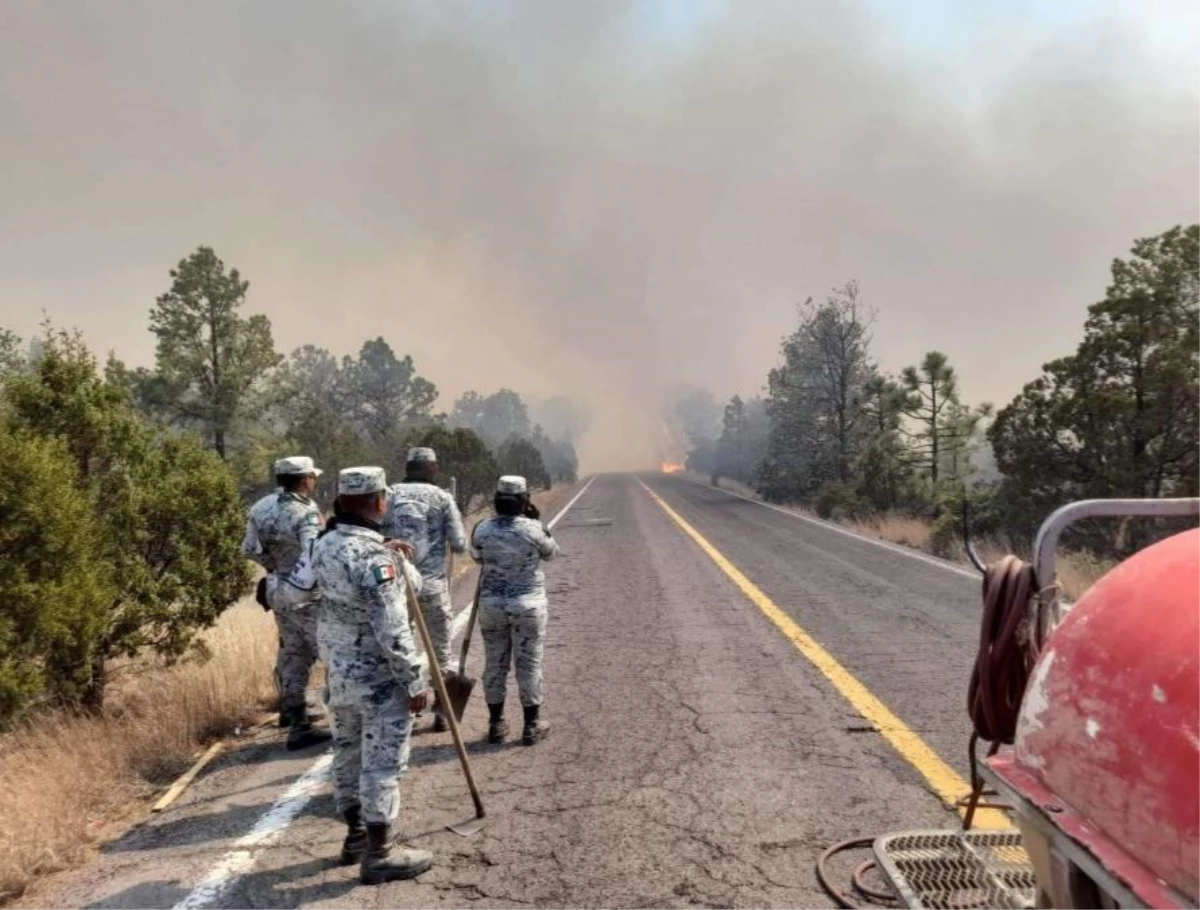 Meksika\'da sıcak hava orman yangınlarını artırdı