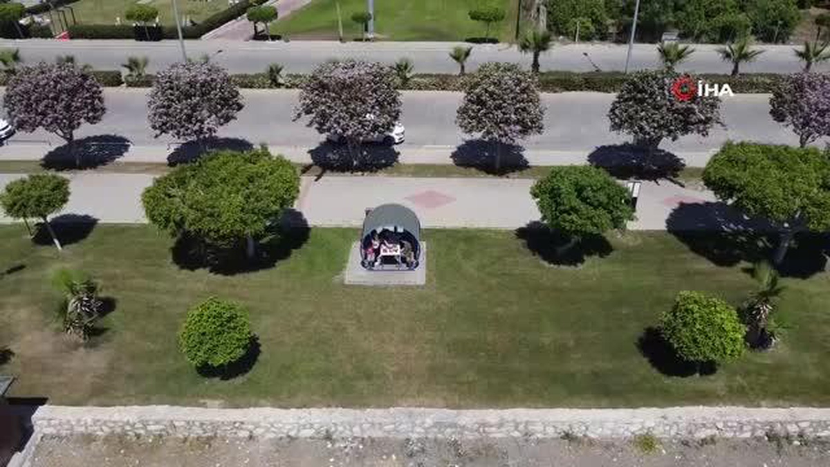 Mersin\'de yaz havasıyla orkide ağaçları çiçek açtı, karsambaç satışları başladı
