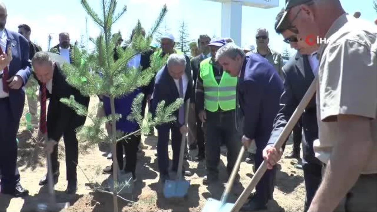 Muhsin Yazıcıoğlu Hatıra Ormanı\'na bin sedir ve karaçam fidanı dikildi