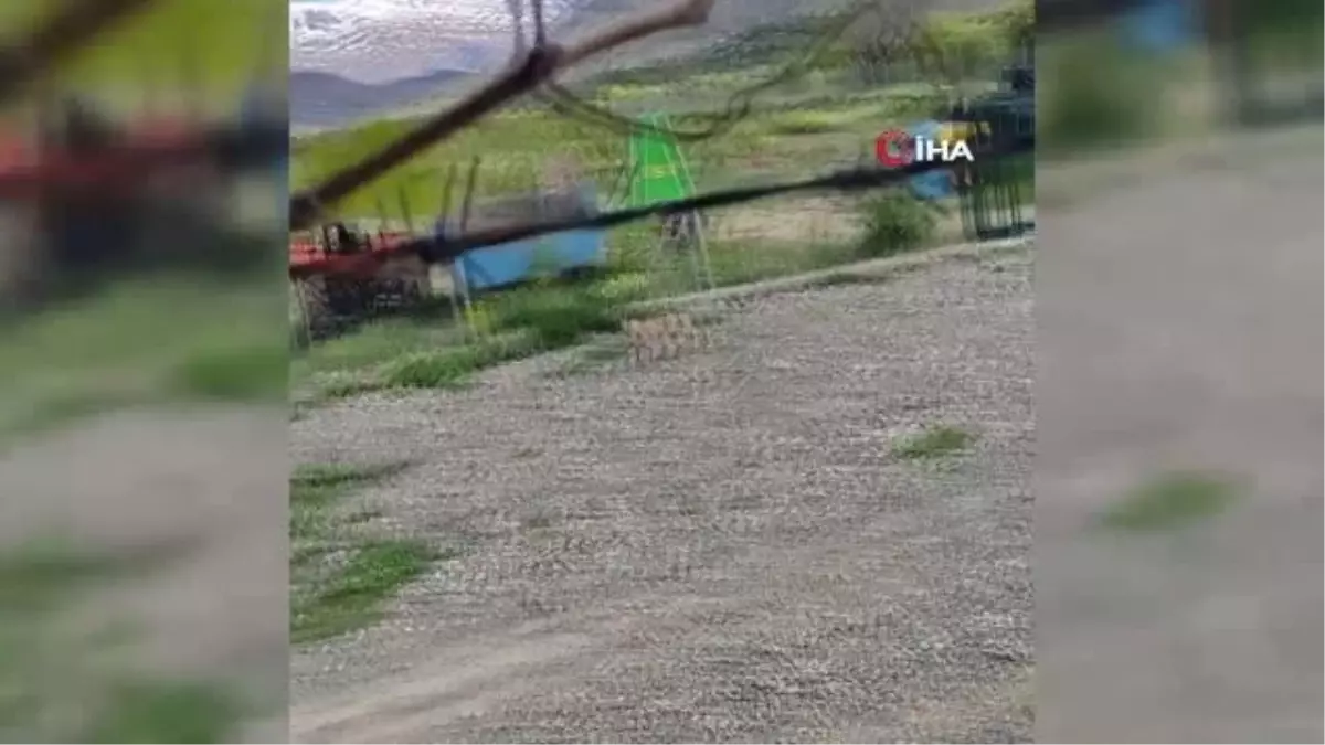 Nesli tükenme tehlikesi altında olan vaşak bahçede görüntülendi