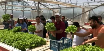 Batman'da otizmli öğrenciler ektikleri sebzelerin hasadını yaptı