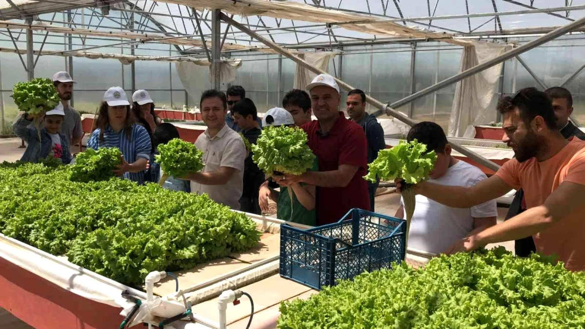 Batman'da otizmli öğrenciler ektikleri sebzelerin hasadını yaptı