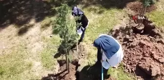 Pendik'te hemşireler 'Koşuyolu Hatıra Ormanı'na 200 fidan dikti