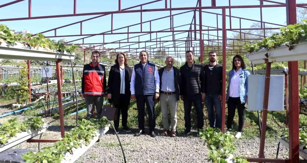 \'Tarımsal üretimde en son çare kimyasal mücadele\'