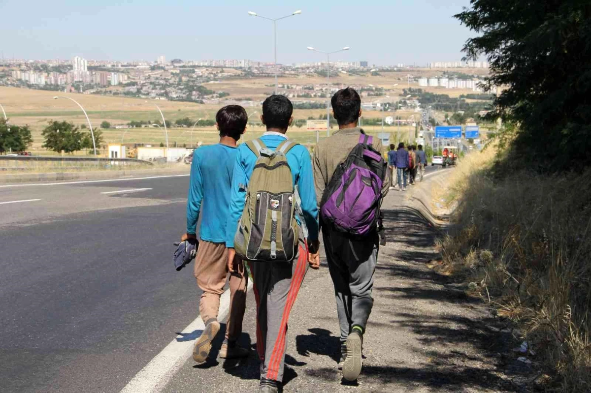 Diyarbakır'a 20 düzensiz göçmen yakalandı