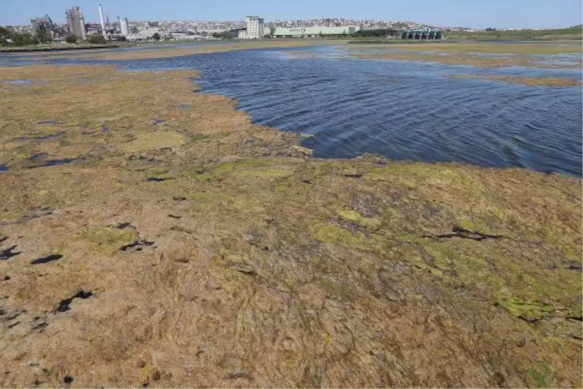 YOSUNLARIN SARDIĞI BÜYÜKÇEKMECE GÖLÜ İÇİN UYARI