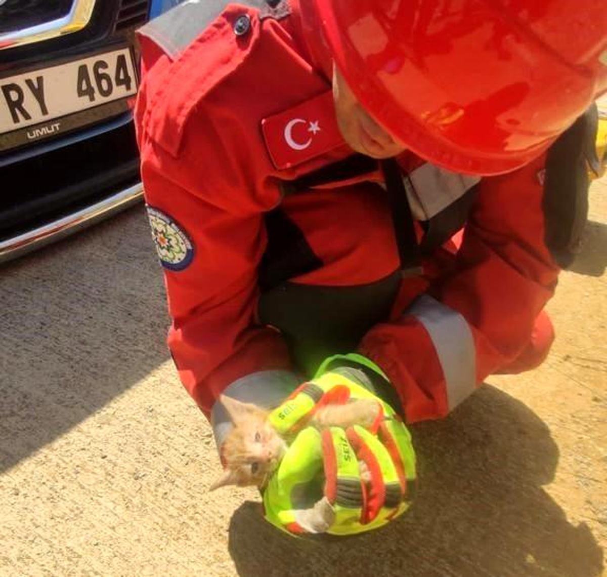 Son dakika haber | Aracın motor kısmına sıkışan kediyi itfaiye kurtardı