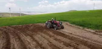 Başkentli iki kadın çiftçi topraktan kazandıklarıyla çocuklarını okuttu