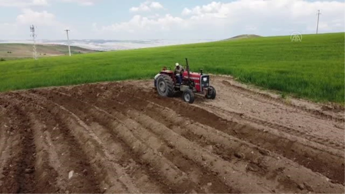 Başkentli iki kadın çiftçi topraktan kazandıklarıyla çocuklarını okuttu