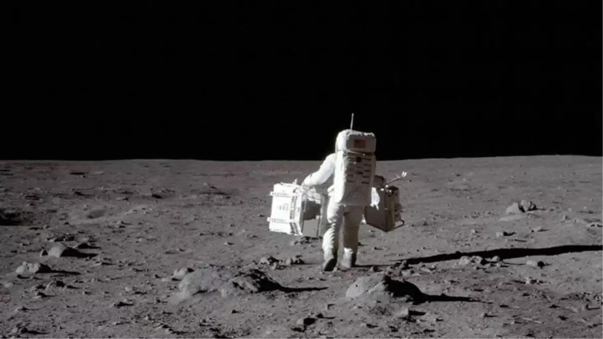 Bilim insanları bir ilki başardı: Ay toprağında bitki yetiştirildi