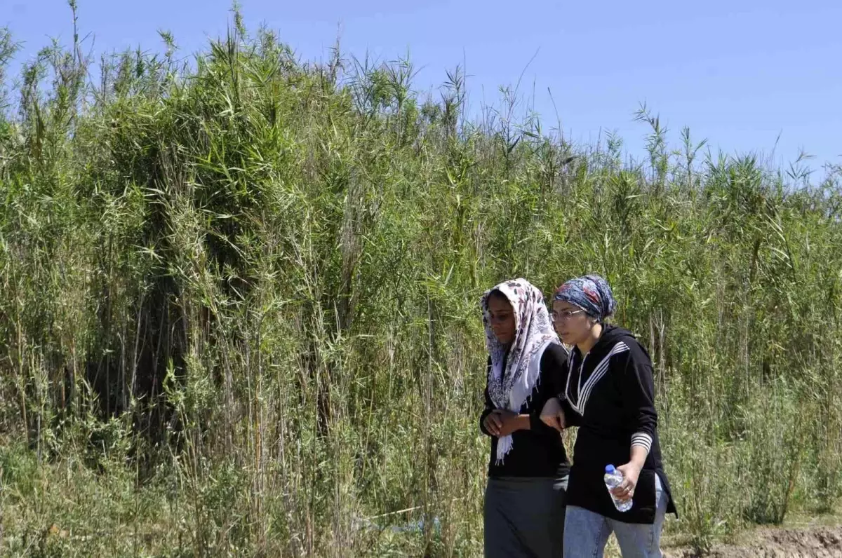 Ceyhan Nehri'nde kaybolan çocuk 3 gündür aranıyor