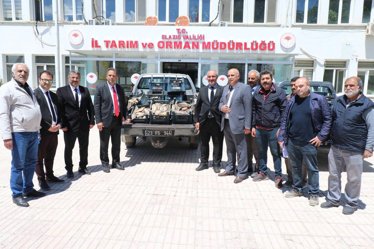 Elazığ\'da kaçak avlandığı belirlenen 1150 kilogram balık ele geçirildi