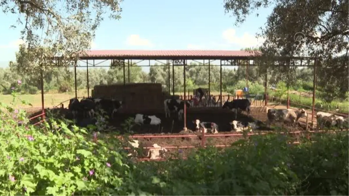 Genç kadın, devlet desteğiyle çiftçi oldu