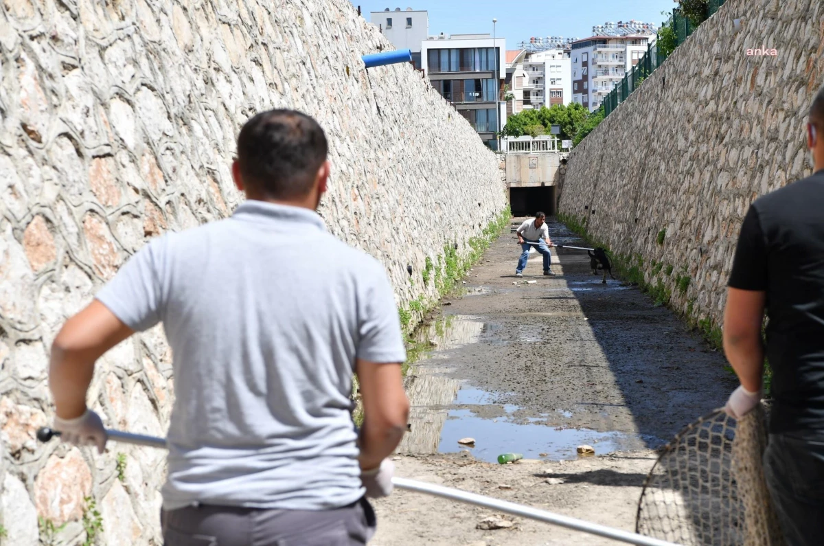 Konyaaltı Belediyesi Ekipleri, Dere Yatağında Mahsur Kalan Köpekleri Kurtardı