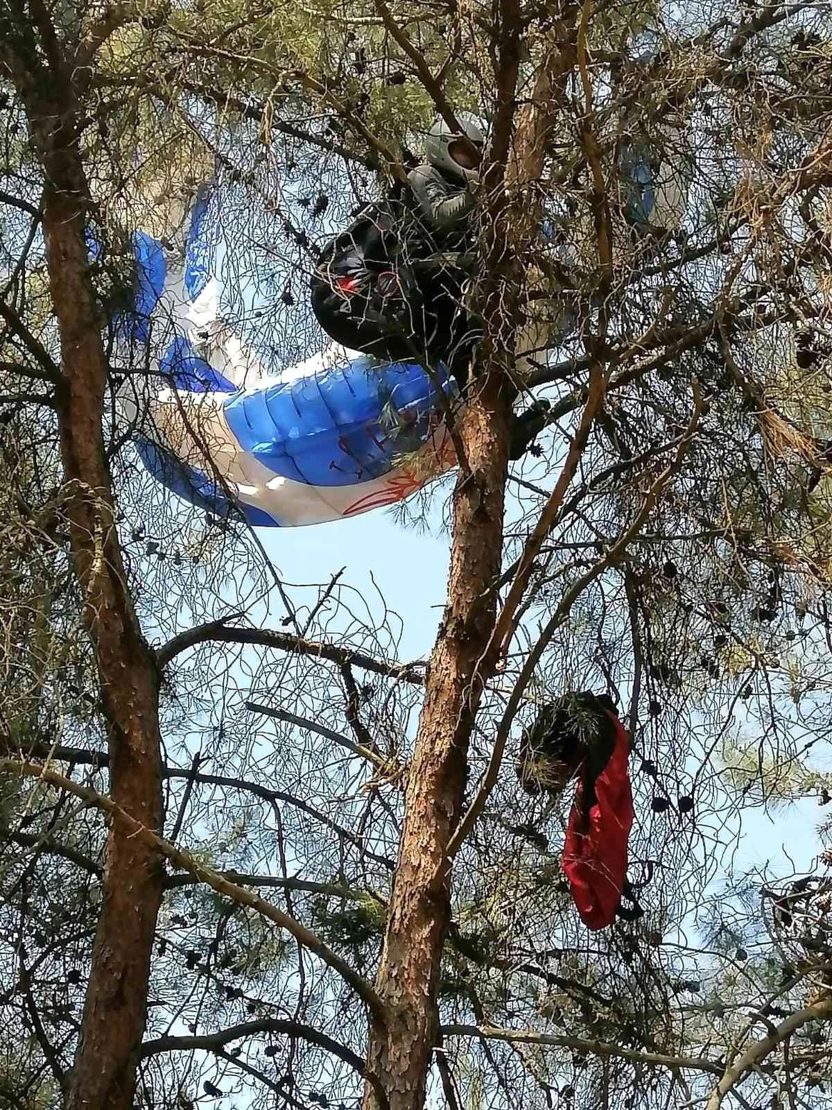 Manisa\'da amatör paraşütçü ağaca asılı kaldı