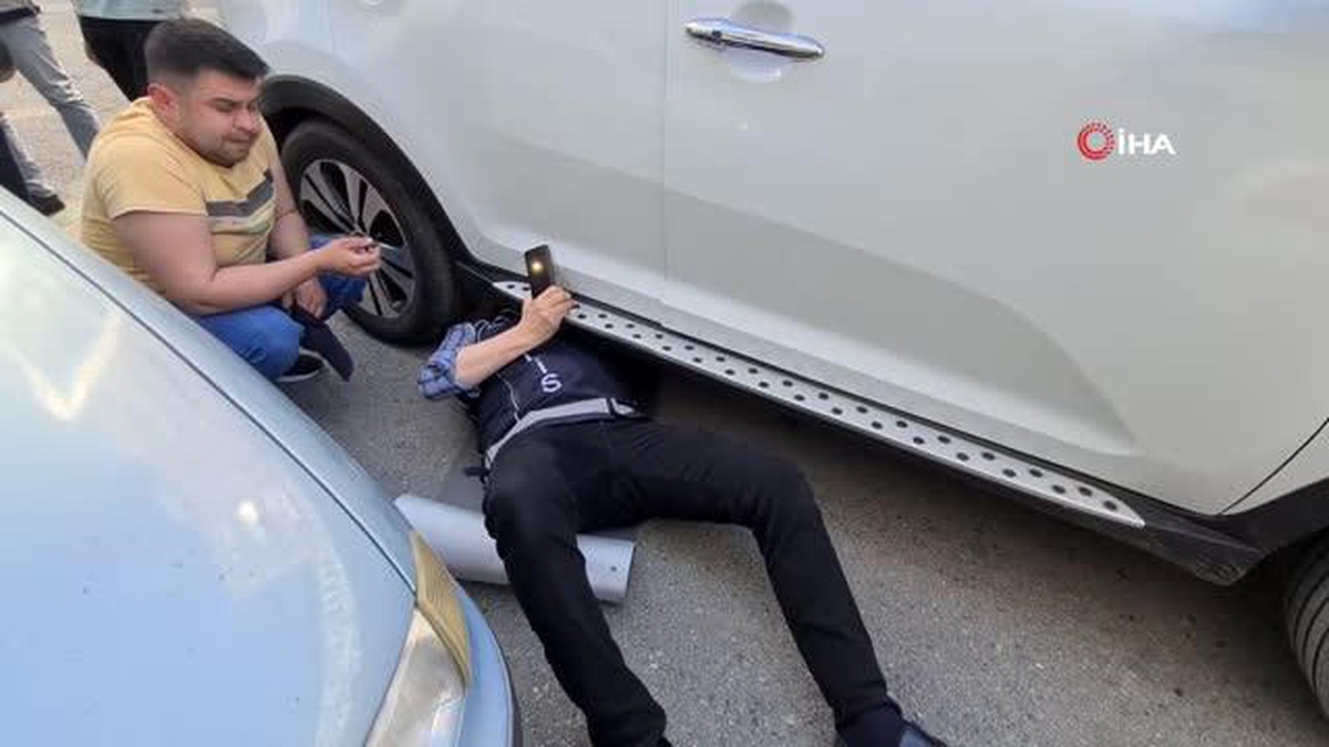 Polis ekiplerinden kedi kurtarma operasyonu