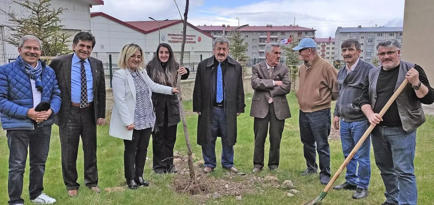 Şehitler için \'vefa bahçesi\' kuruldu