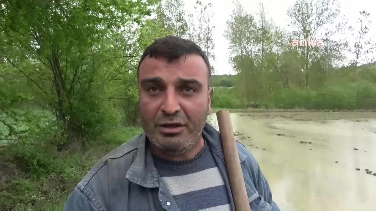 Sinoplu Çiftçi: "Bir Çiftçinin En Zor Günlerini Yaşıyoruz"