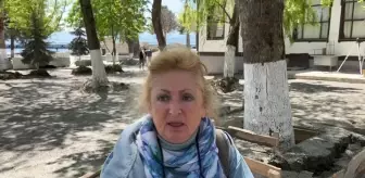 Sinoplu Vatandaş, Ağaçların Köküne Dökülen Betonu Keserle Kırmak İstedi: 'Bu Ağacın Öldüğünü Görmüyor Musunuz?'