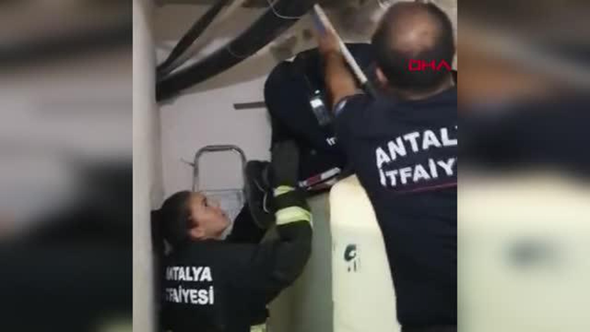 Son dakika haberi... SU DEPOSU ARASINDA SIKIŞAN KEDİYİ İTFAİYE KURTARDI
