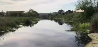 Tekirdağ'daki Kınıklı Deresi Siyah Akmaya Başladı