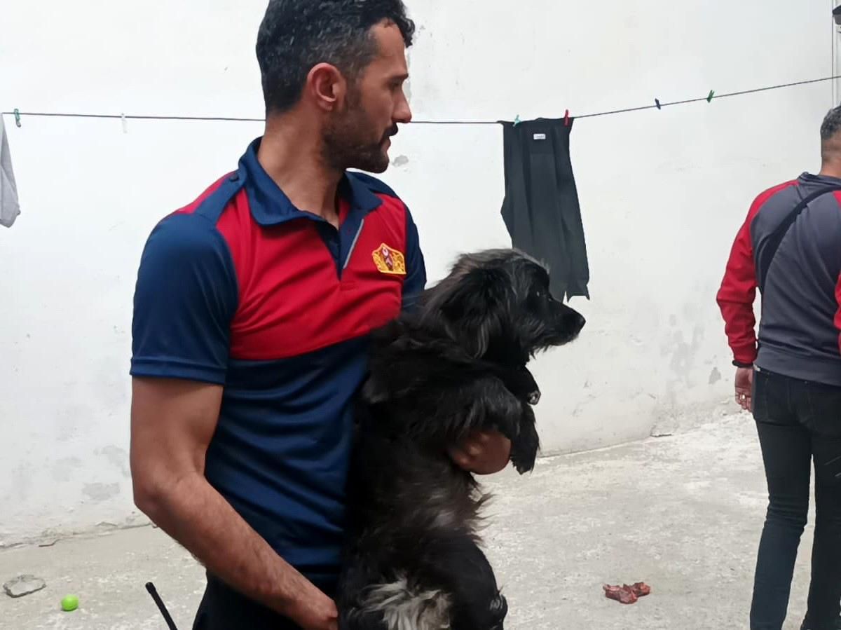 Alevler arasında kalan köpek son anda kurtarıldı