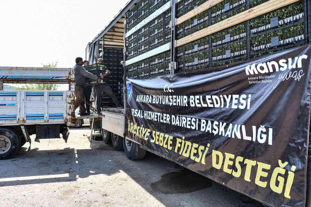 Ankara Büyükşehir Belediyesi\'nden çiftçilere sebze fidesi desteği sağlanacak