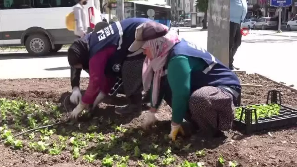 Elazığ kadın eliyle güzelleşiyor