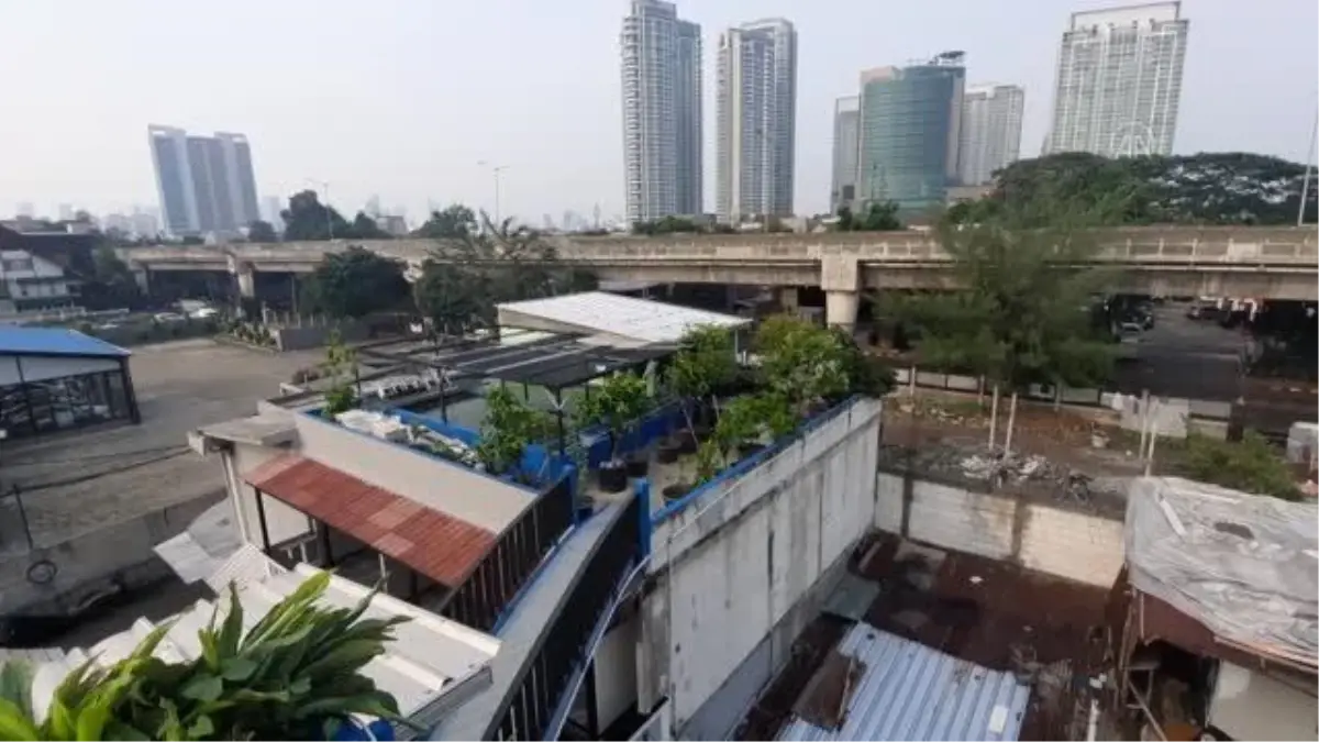 Endonezya'da 'şehir çiftçiliği'