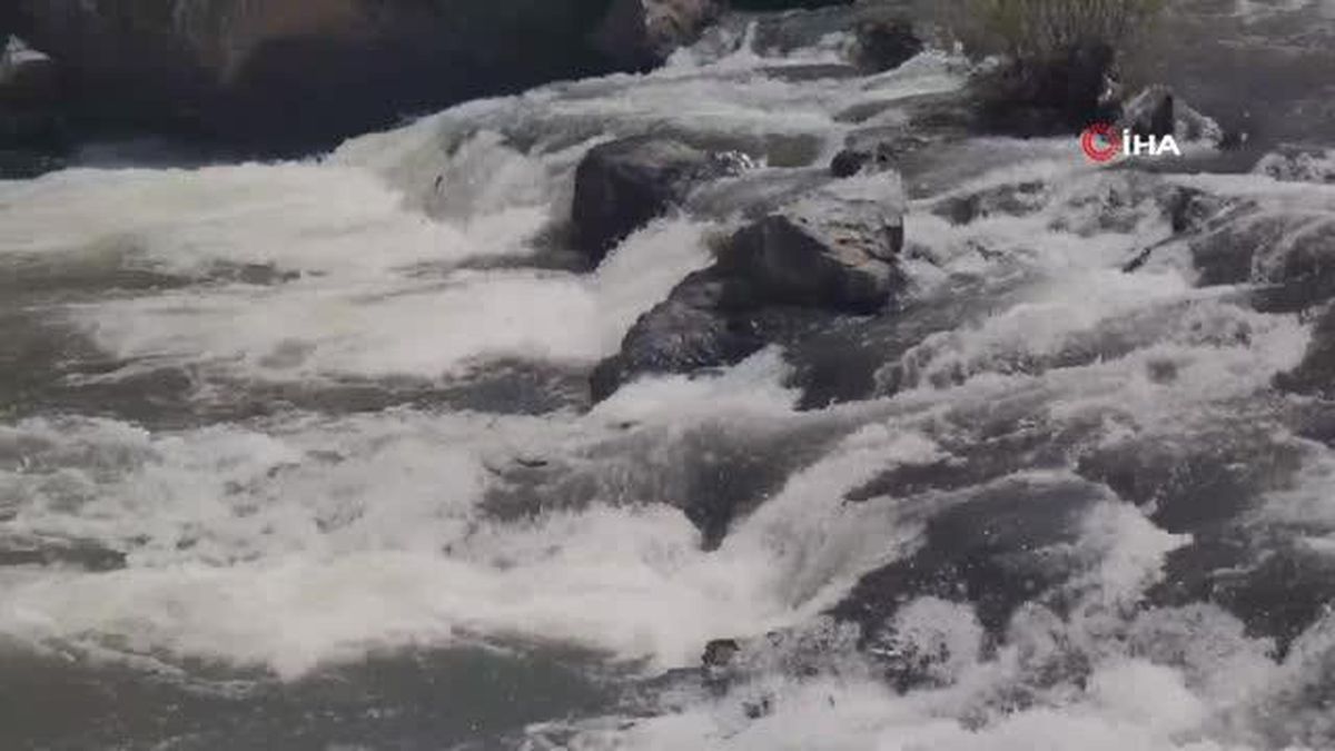 İnci kefalin zorlu yolculuğu görsel şölen oluşturuyor