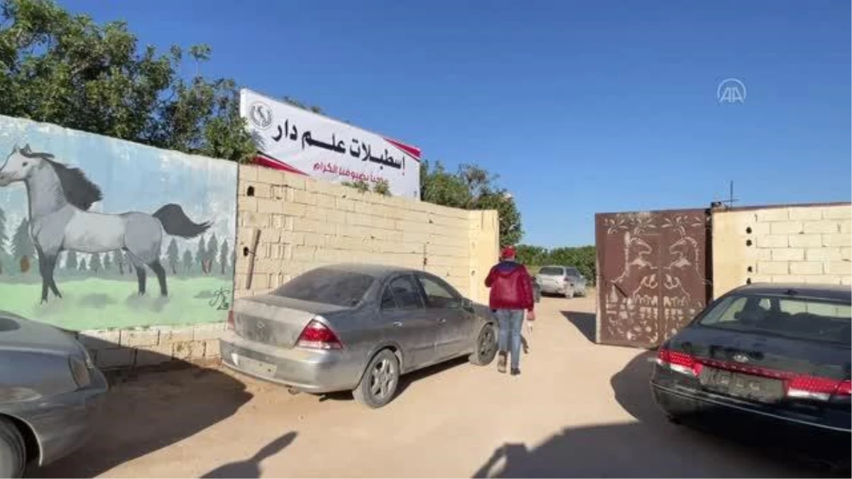 Libya\'da safkan Arap atı mezadı