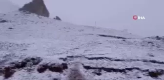 Mayıs ayında kar sürprizi