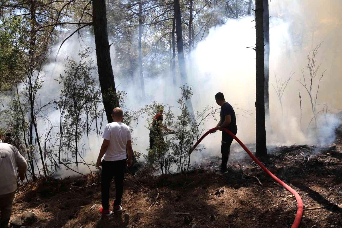 Muğla\'da orman yangını