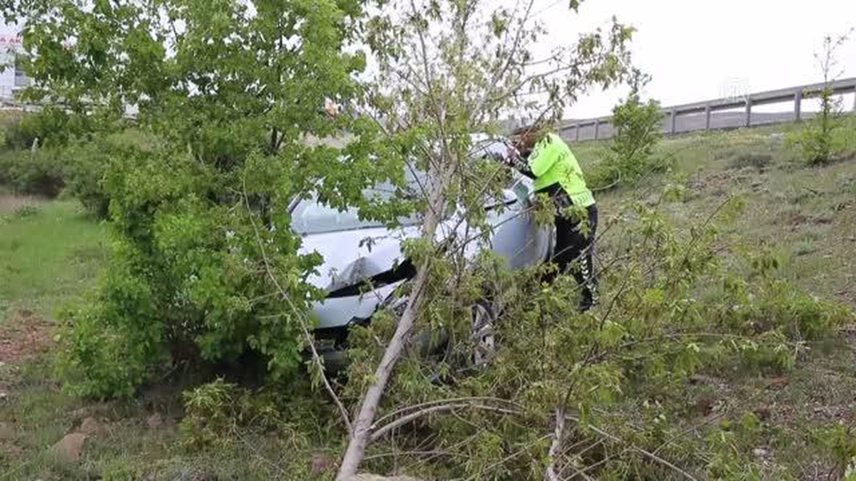 Ağaca çarpan otomobildeki 2 kişi yaralandı