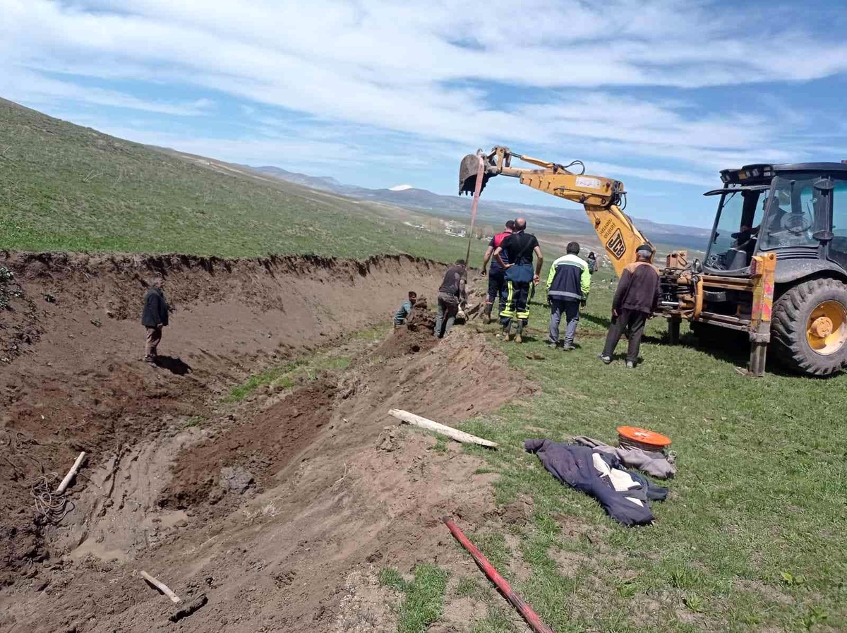 Bataklığa saplanan büyükbaş hayvan kurtarıldı