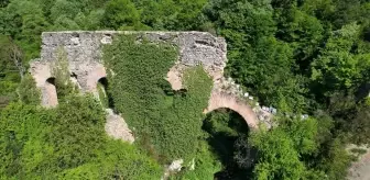 Bir kentin su ihtiyacını karşılıyordu, artık ormanın içinde