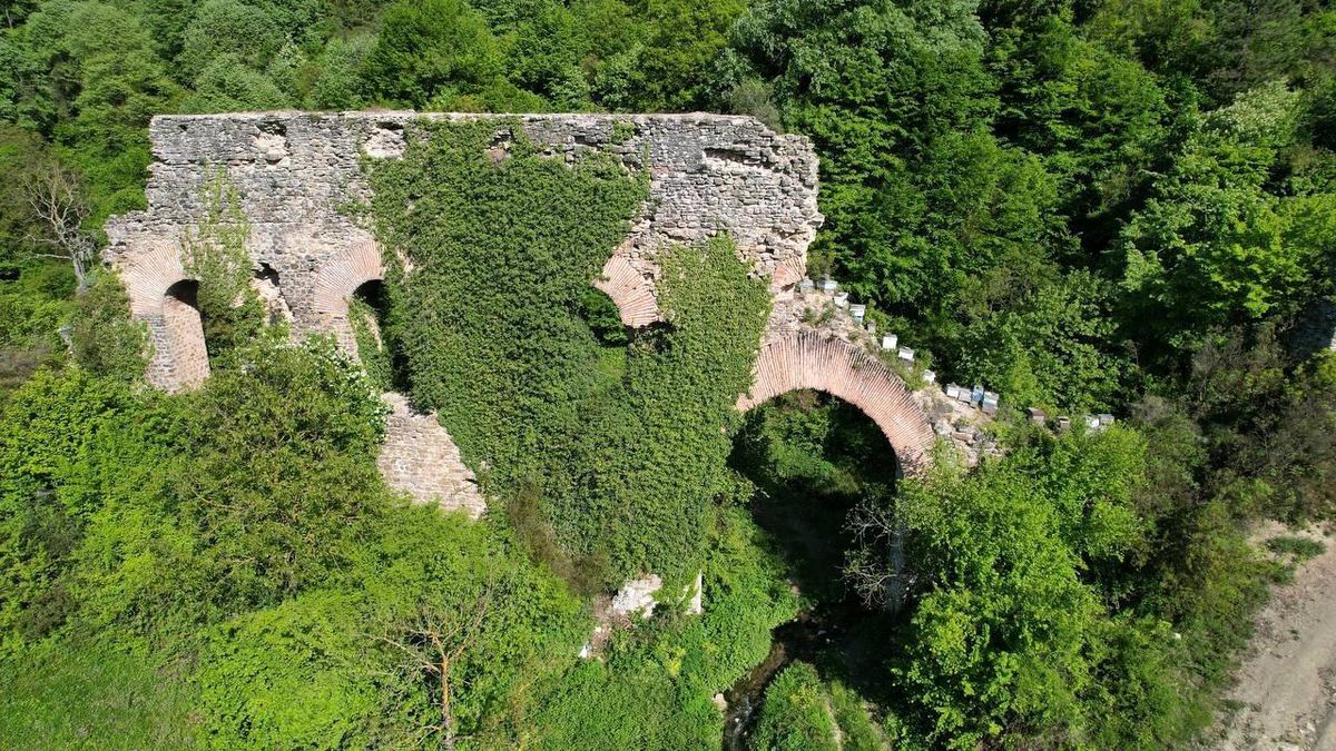 Bir kentin su ihtiyacını karşılıyordu, artık ormanın içinde
