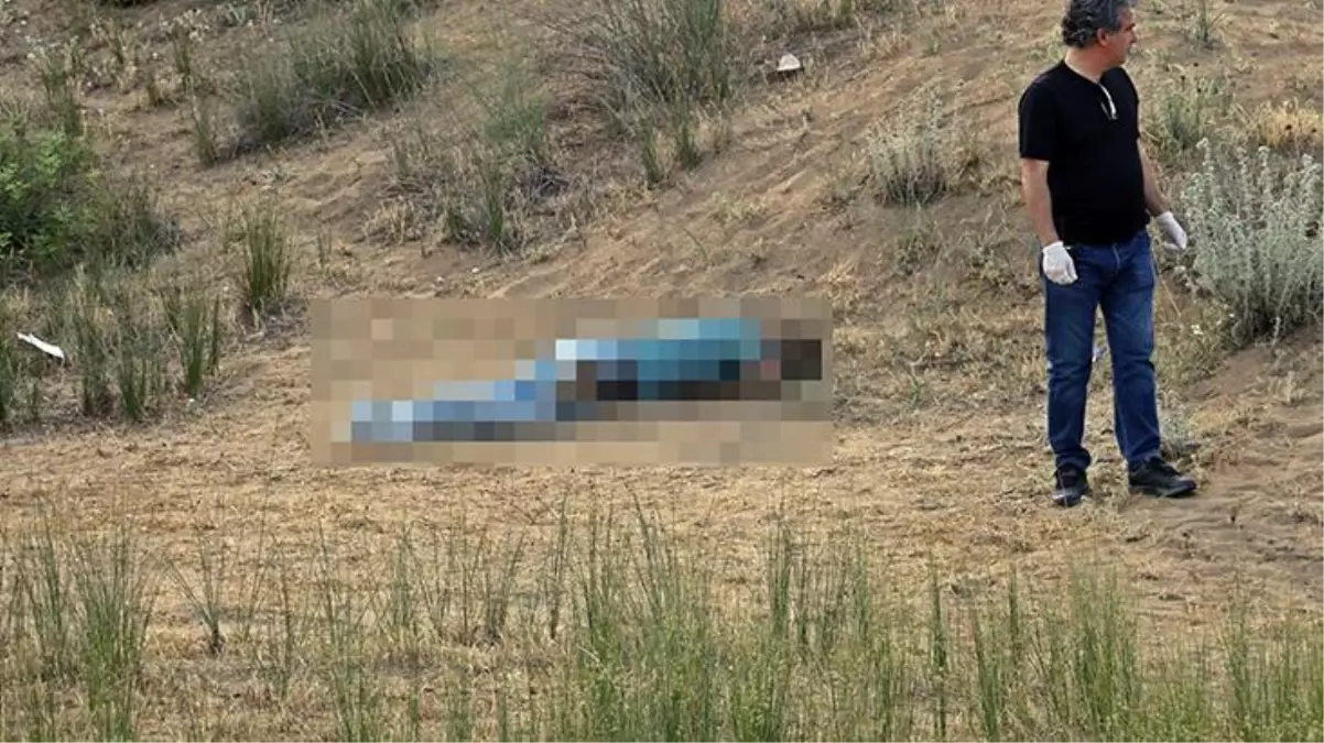 Antalya\'da etrafı fotoğraflarla kaplı erkek cansız bedeni bulundu