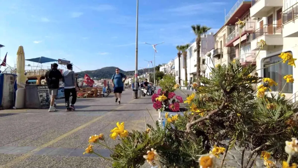 Foça yaz sezonuna hazır