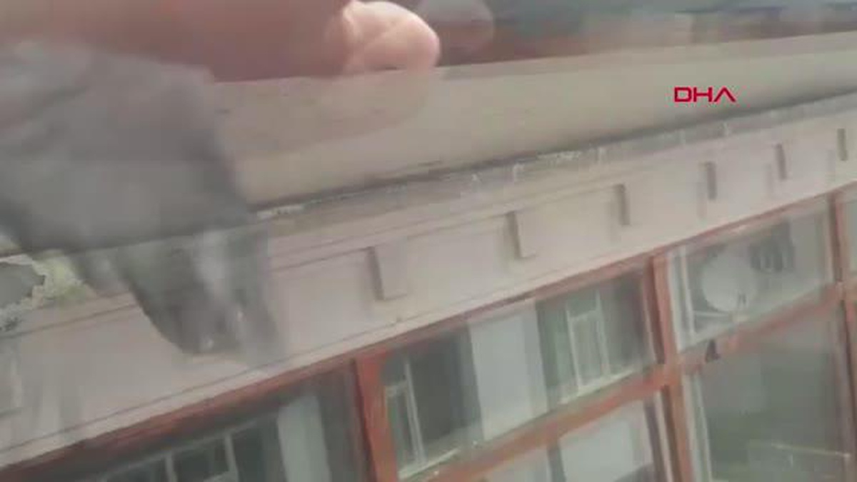 AYAĞINA İP DOLANAN GÜVERCİN KURTARILDI