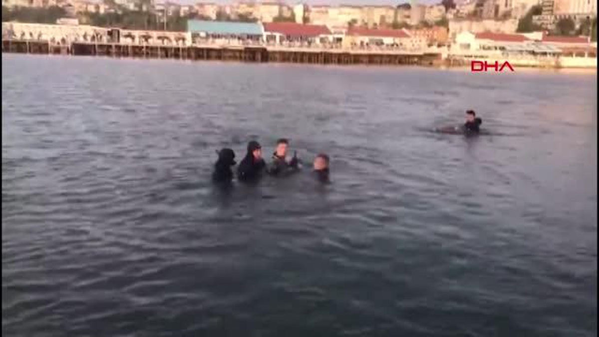 ŞİLE\'DE PLAJA VURAN YUNUSU HAYATA DÖNDÜRDÜLER