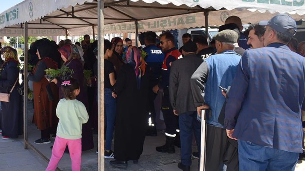 Kırıkkale\'de belediye 16 bin ücretsiz fide dağıttı, vatandaşlar uzun kuyruklar oluşturdu!