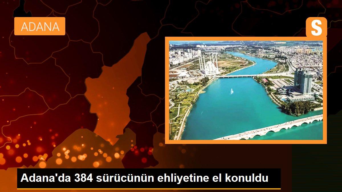 Adana\'da 384 sürücünün ehliyetine el konuldu