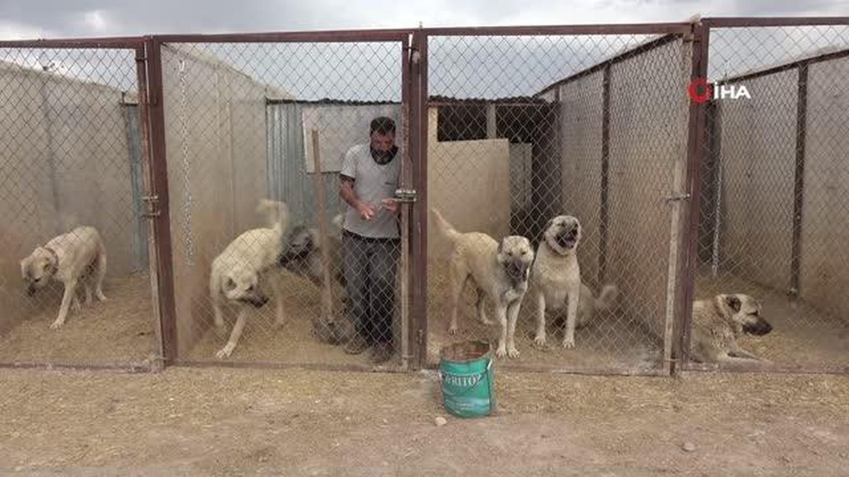 Aile bağları çeneleri kadar güçlü