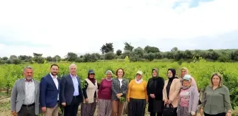 Akdeniz Belediyesi, çiftçilere verimli gübre kullanımı semineri başlatıyor