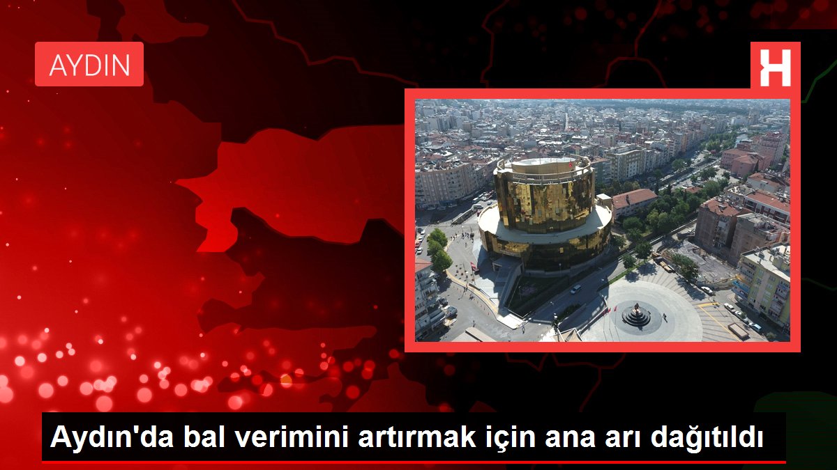 Aydın'da bal verimini artırmak için ana arı dağıtıldı
