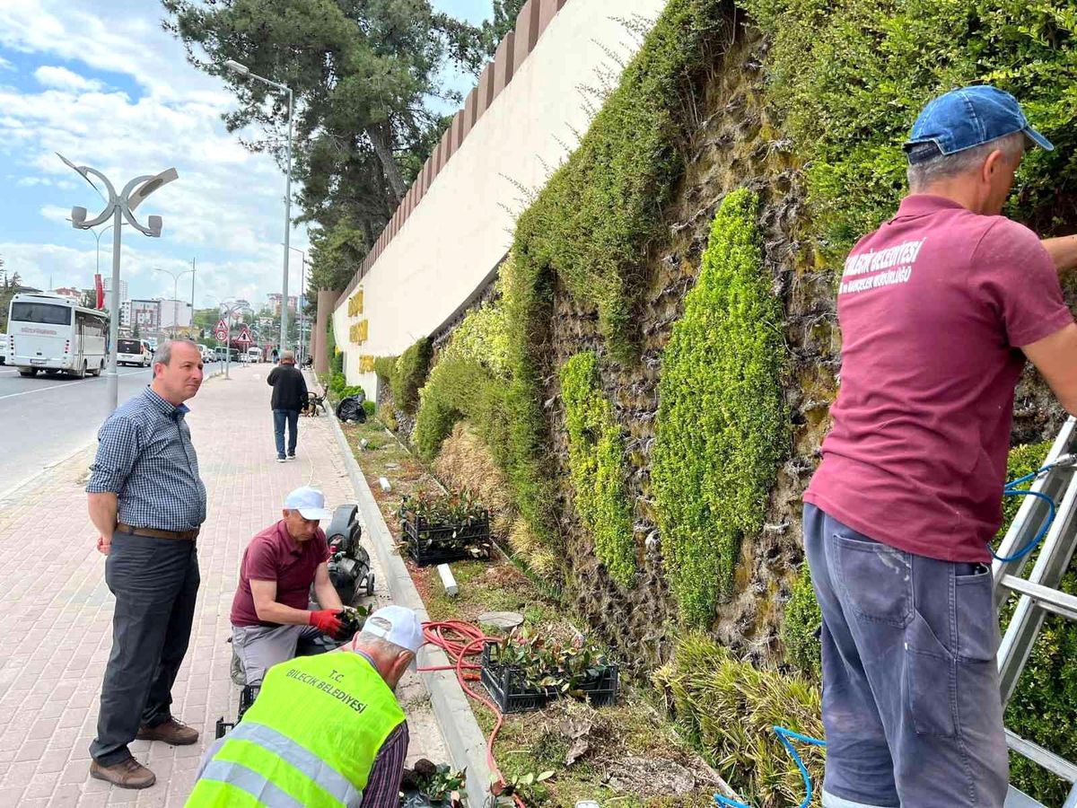 Bilecik Belediyesi Dikey Bahçe\'de bakım ve yenileme çalışmaları yapıldı